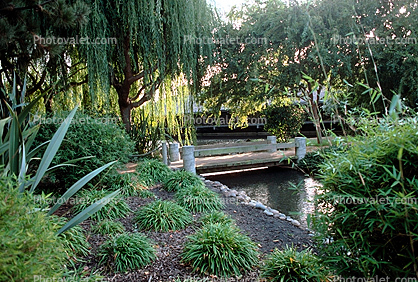 Gardens, Footbridge, Path, Shrub, Sunnyvale, Silicon Valley