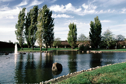 Water Fountain, aquatics, Pond, Building, Sunnyvale, Silicon Valley