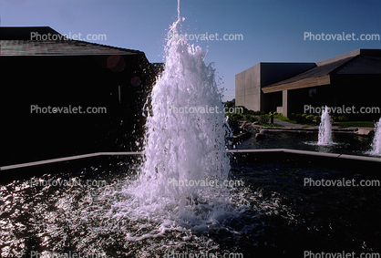Water Fountain, aquatics, Sunnyvale, Silicon Valley, October 1985