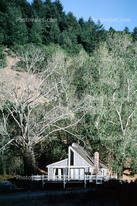 Home, House, Building, Trees, Woodlands, Stinson Beach, Marin County