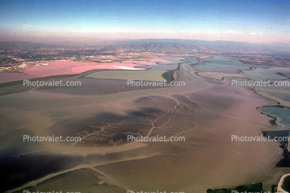 Dumbarton Bridge