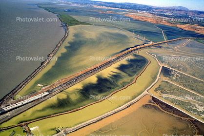 Dumbarton Bridge, San Francisco Bay National Wildlife Refuge, Coyote Hills Park