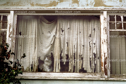 Window, Torn Curtains, Dilapitated, Decay