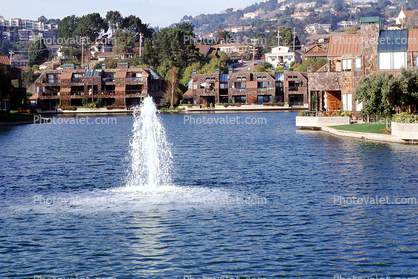 Water Fountain, aquatics