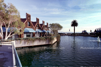 Palm Tree, Bay, Homes, Houses