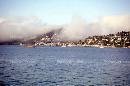 Fog, Boats, Harbor, Hill, Homes, Houses, Sausalito