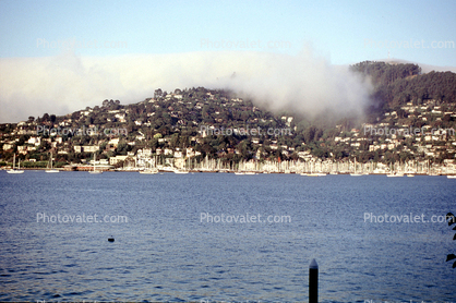 Fog, Boats, Harbor, Hill, Homes, Houses, Sausalito