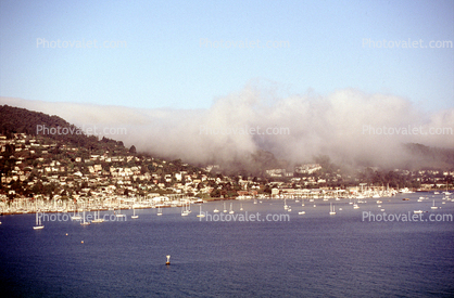 Fog, Boats, Harbor, Hill, Homes, Houses, Sausalito