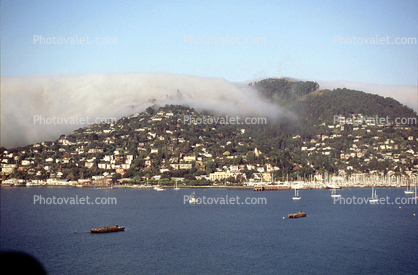 Hill, Homes, Houses, Sausalito Harbor, boats, Hills, Fog, waterfront, buildings