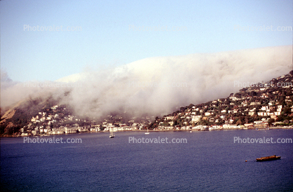 Hill, Homes, Houses, Sausalito Harbor, boats, Hills, Fog, waterfront, buildings
