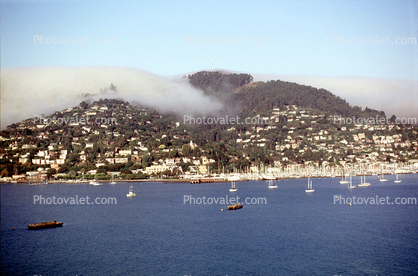 Hill, Homes, Houses, Sausalito Harbor, boats, Hills, Fog, waterfront, buildings