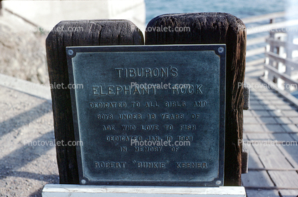 Tiburon's Elephant Rock