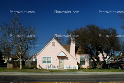 Trees, fence, home, house, housing, single family dwelling unit, building