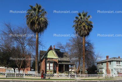 Palm Trees, fence, home, house, housing, single family dwelling unit, building