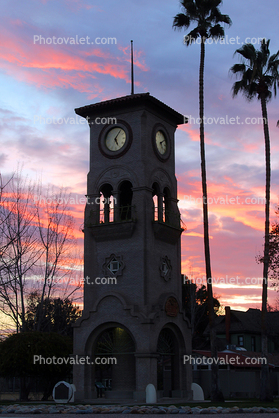 Clock Tower, sunset, palm trees