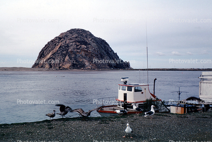 Morro Rock, Volcanic Plug, dock, harbor, January 1976, 1970s
