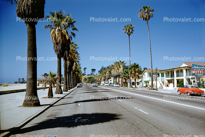 cars, tree-lined road, street, Ambassador by the Sea Motel, buildings, Santa Barbara, 1950s