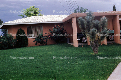 Home, House, Single Family Dwelling Unit, Cactus, Front Lawn, Building, August 1958, 1950s