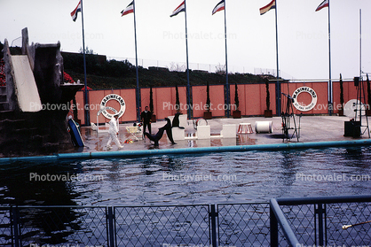 Marineland, 1963, 1960s