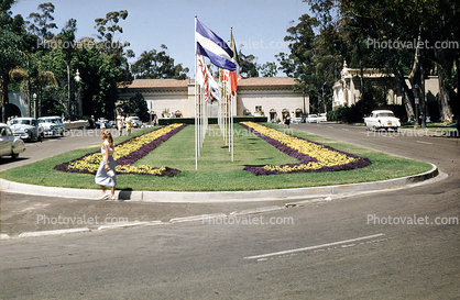Flowers, Lawn, Balboa Park, 1960s