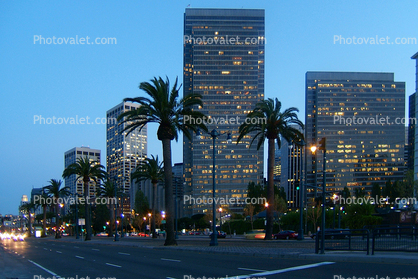 the Embaracadero Center, office buildings, skyscrapers, palm trees