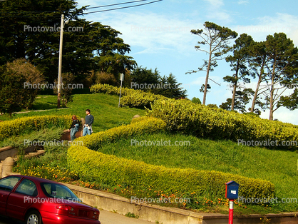 Alta Plaza Park, Pacific Heights, Pacific-Heights