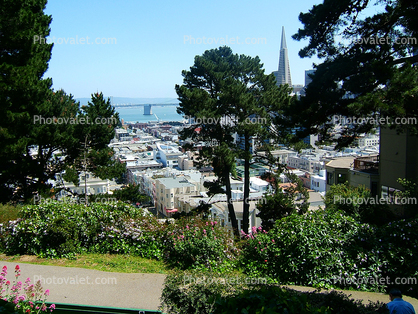 Ina Donna Coolbrith Park, Russian Hill