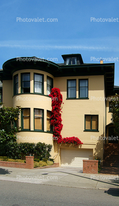 The Letter-L, Bougainvillea, flowers, building, home, house, residential, Pacific Heights, Pacific-Heights