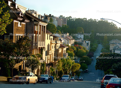 Pacific Heights, Pacific-Heights, Cars, Automobiles, Vehicles