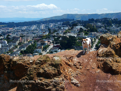 view from Corona Heights Park