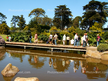 Footbridge, Pond, Water, Reflection, Arboritum, June 2005