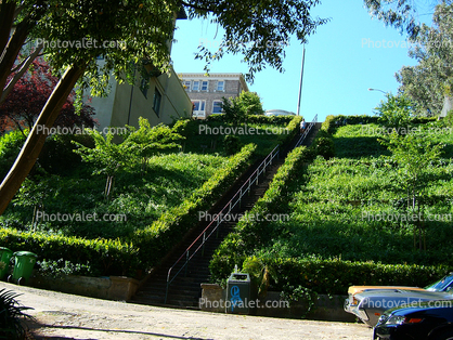 Lyon Street, Pacific Heights, stairs, steps, Pacific-Heights, June 2005