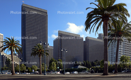 Embarcadero Center, Buildings, Palm Trees