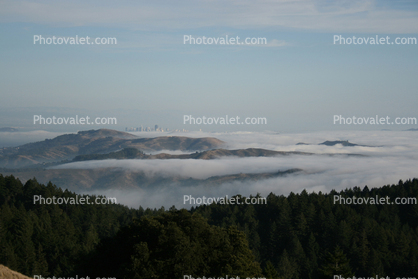 Fog, skyline, Marin County