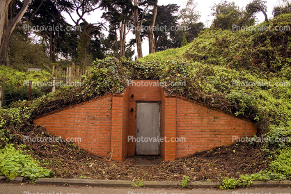 Tunnel Entrance, Bunker, Ivy, Brick, The Presidio, building, detail