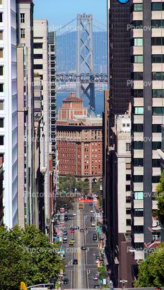 buildings, downtown-SF, California Street, downtown