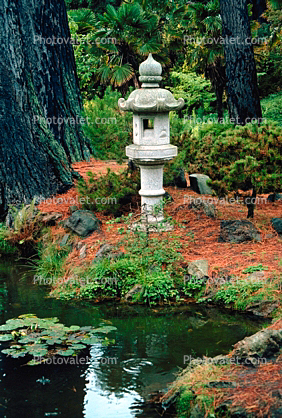 Stone Lantern, pond, Hakone Japanese Tea Garden, October 25 1982