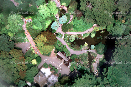 Japanese Tea Garden, Paths, Ponds, Trees