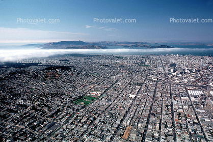 Mount Tamalpais