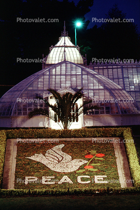 Peace, Conservatory Of Flowers