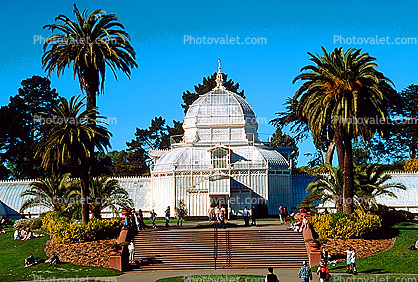 Conservatory Of Flowers, Palm Trees