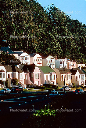 Portola Avenue, Homes, Houses, Trees