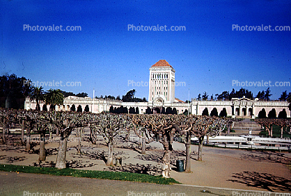 Old DeYoung Museum, building, trees, Water Fountain, aquatics, tower, 1950s
