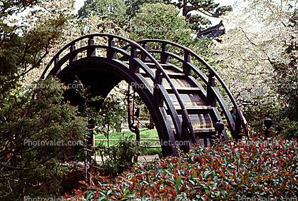 Japanese Tea Garden detail, Taiko arch bridge, 1965, 1960s