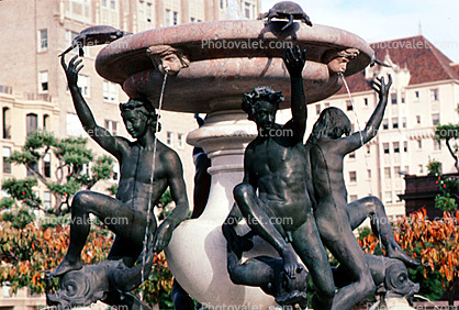 Water Fountain, aquatics, sculpture, statue, Mark Hopkins Hotel, fish, Nob Hill