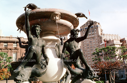 Water Fountain, aquatics, sculpture, statue, Mark Hopkins Hotel, fish, Nob Hill