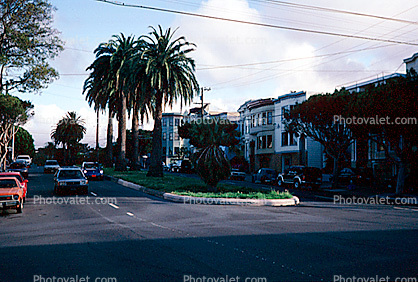 Dolores Street, Homes, Buildings, Street, Palm Trees