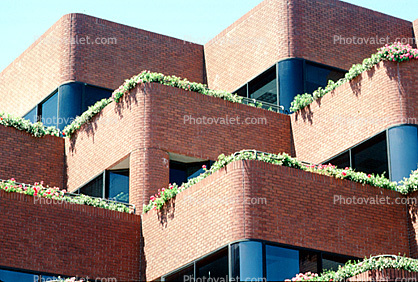 Levi Plaza, Building, Flowers, detail