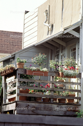 Flower Pots, Railing, Porch