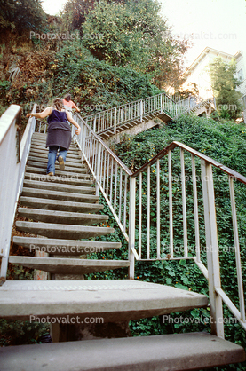 Filbert Street Steps detail, Telegraph Hill, Staircase, Stairs, Jungle